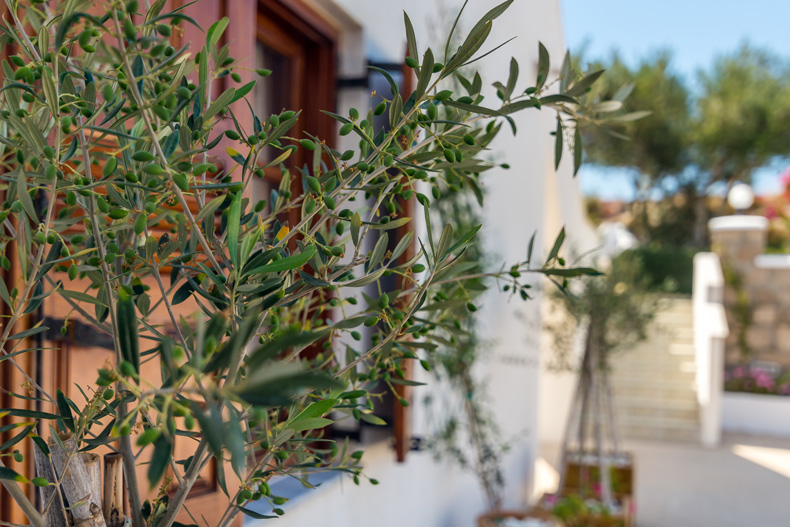 Milos Konstantinos Hotel | Hotel in Milos | Superior Room with Garden View